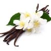 Vanilla Body Oil